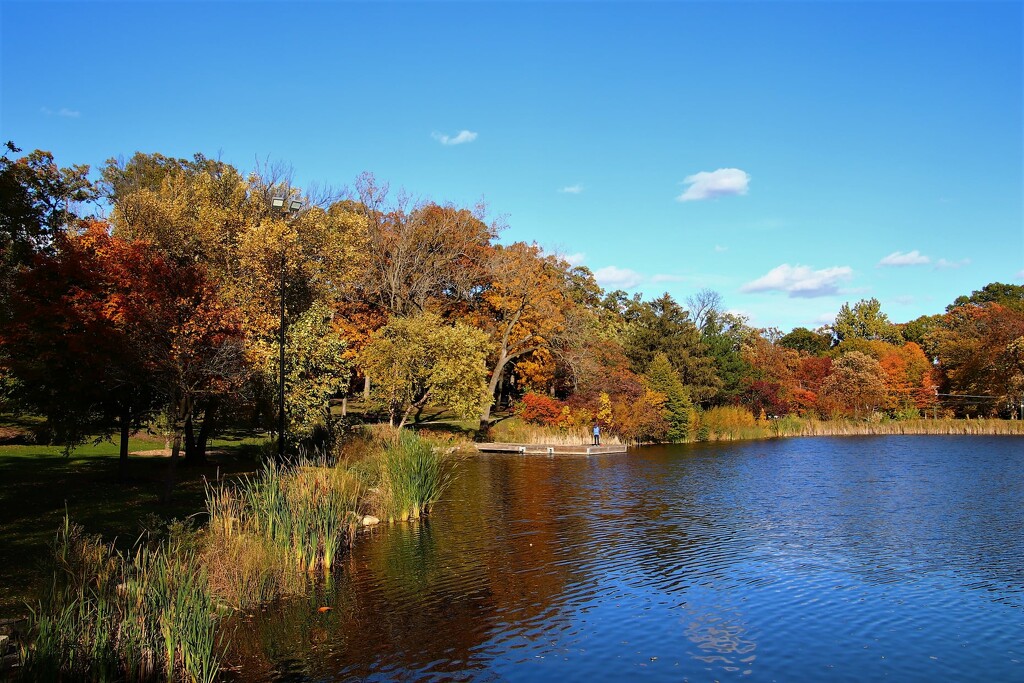 Fall At The Lake by randy23