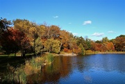 30th Oct 2021 - Fall At The Lake