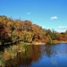 Fall At The Lake by randy23