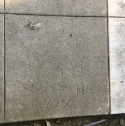 2nd Nov 2021 - Cement Graffiti 