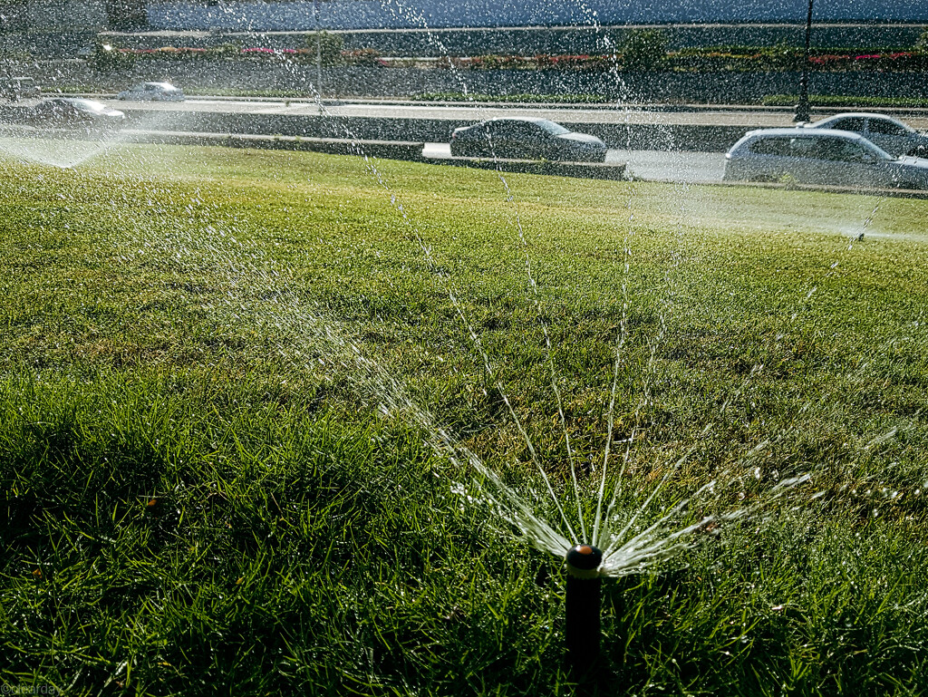 Water sprinkler by clearday
