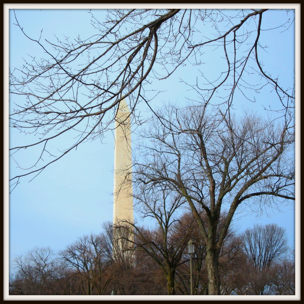 Washington Monument by allie912