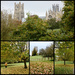 Autumn in Ely by foxes37