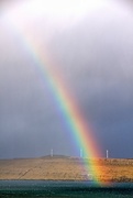 3rd Nov 2010 - Rainbow