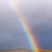 Rainbow by okvalle