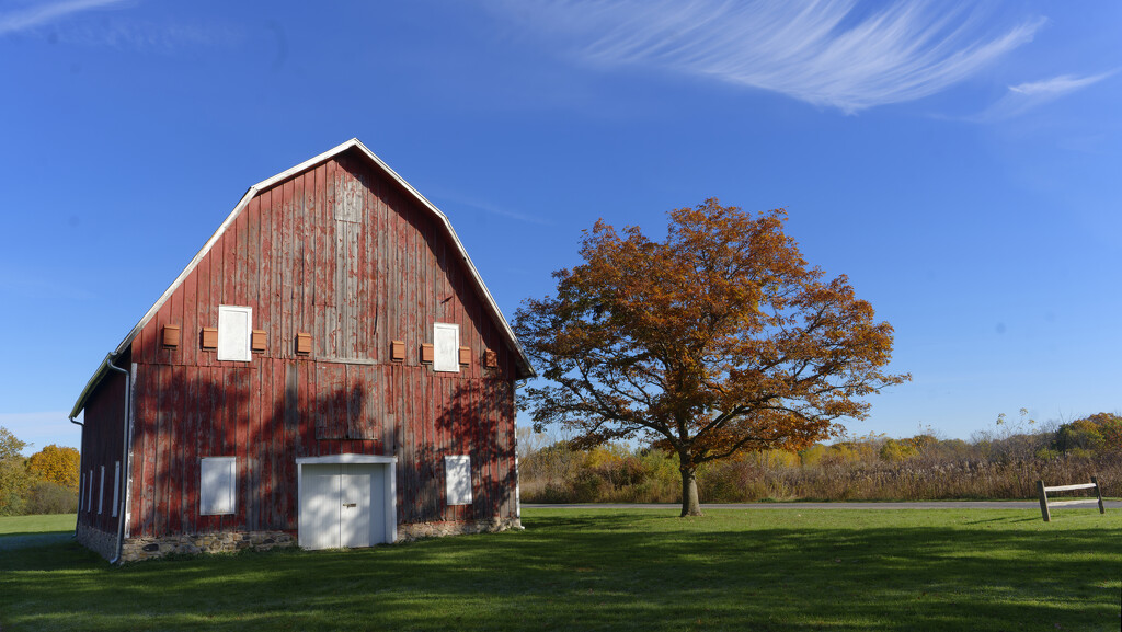 Autumn barn by rminer