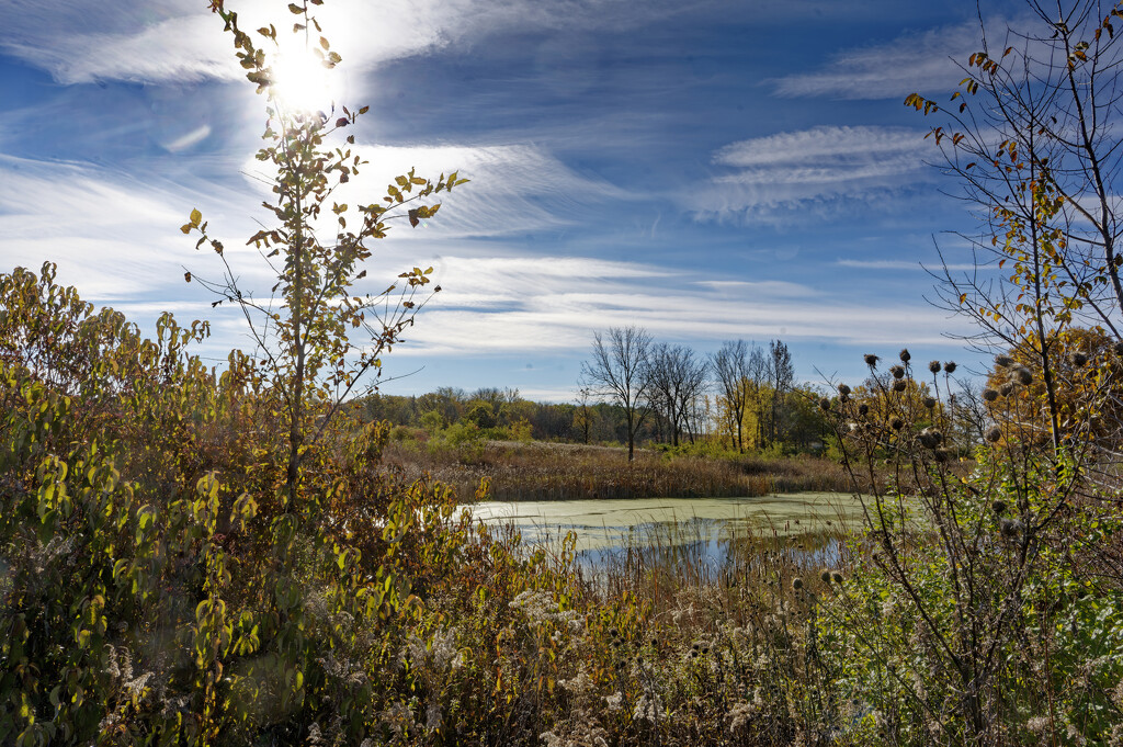 autumn pond landscape by rminer