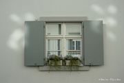 31st Oct 2021 - a window in Basel