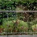 A rainy Melbourne day by deidre