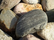 20th Jan 2011 - pebbles