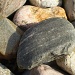 pebbles by summerfield