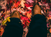 3rd Nov 2021 - Boot cut jeans and autumn leaves