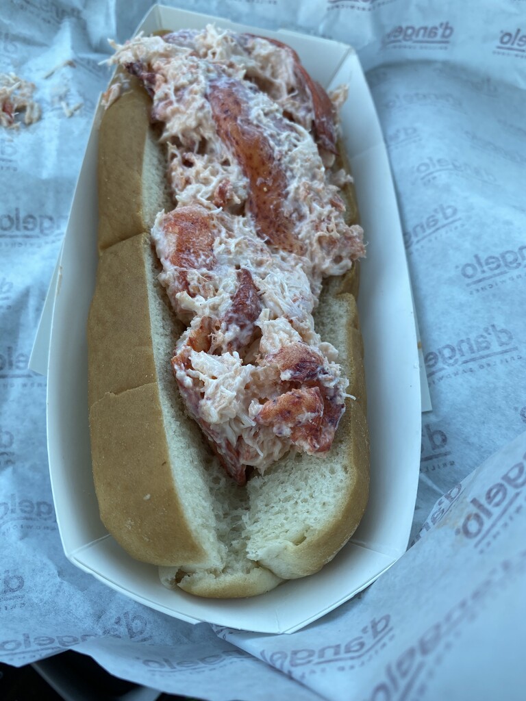 My favorite. Maine Lobster Roll by clay88