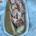 My favorite. Maine Lobster Roll by clay88