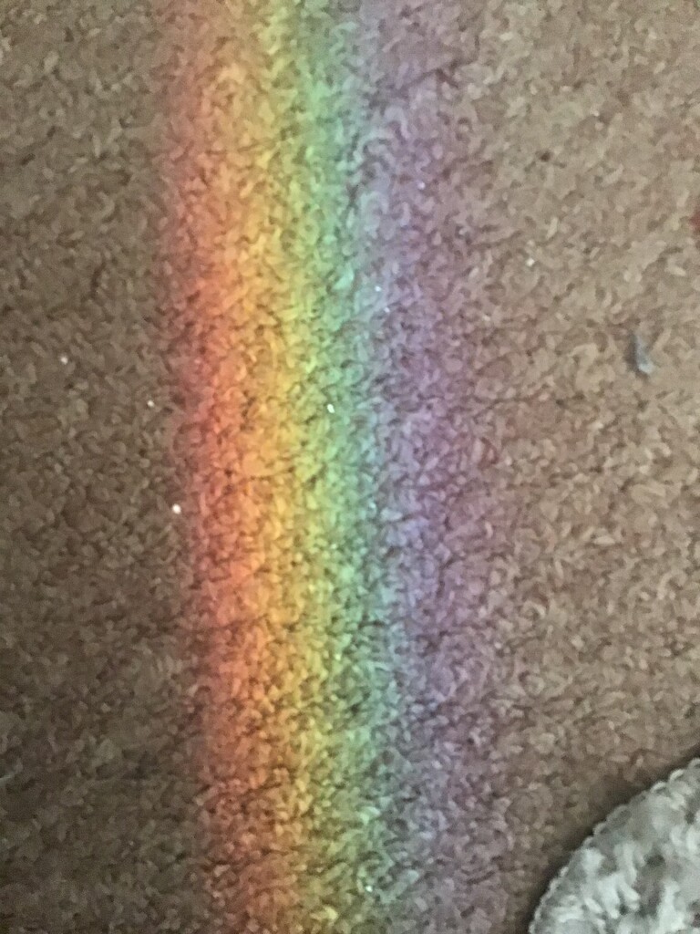 Rainbow by jab