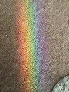 4th Nov 2021 - Rainbow