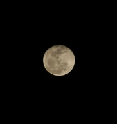 20th Jan 2011 - Day-old Full Moon