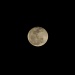 Day-old Full Moon by msfyste