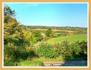 4th Nov 2021 - Northamptonshire Countryside