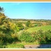 Northamptonshire Countryside by carolmw