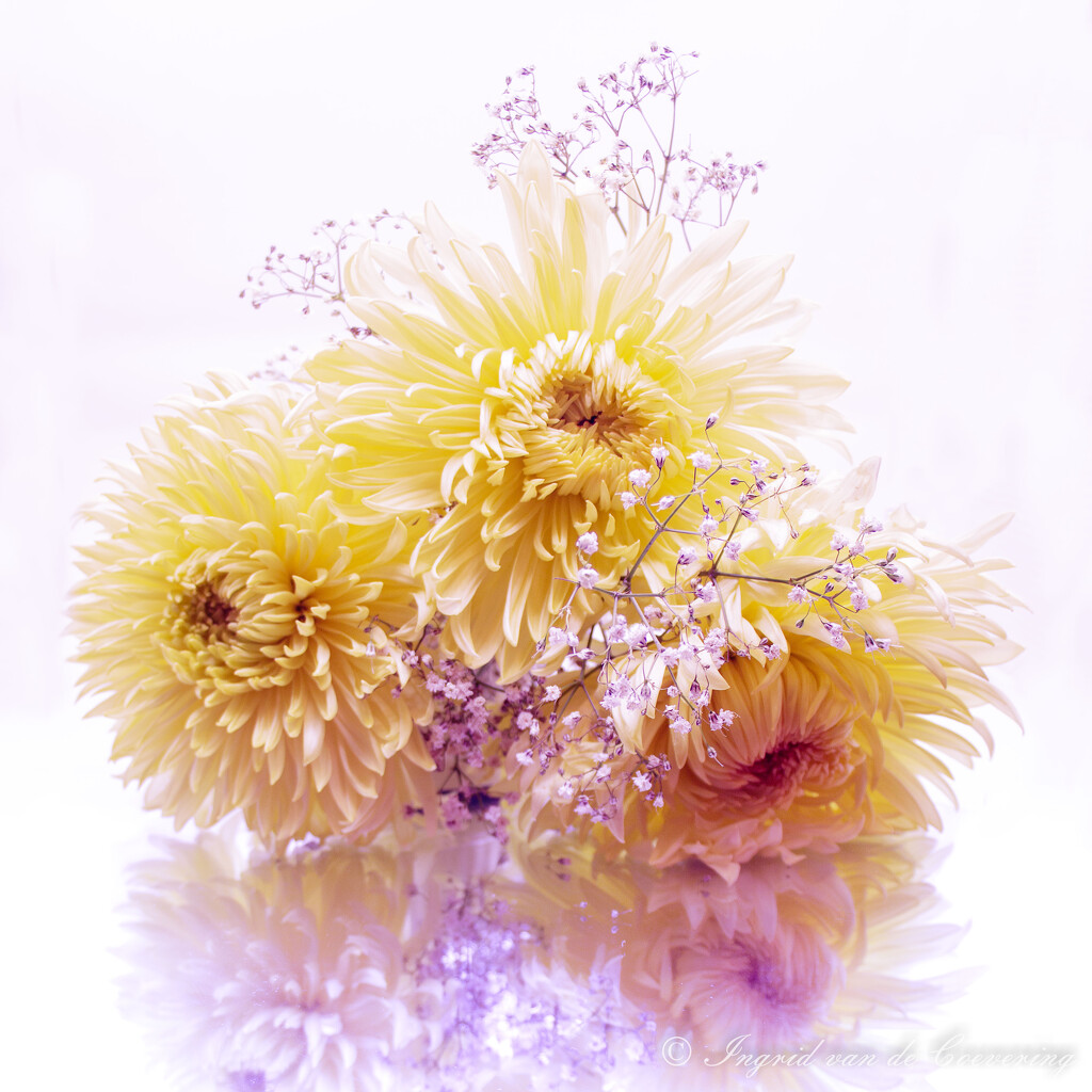 Edited Bouquet! by ingrid01