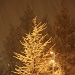 Snowing IMG_3007 by annelis