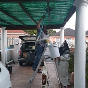 4th Nov 2021 - Vacuuming up the last of the bees