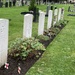 War graves  by cafict