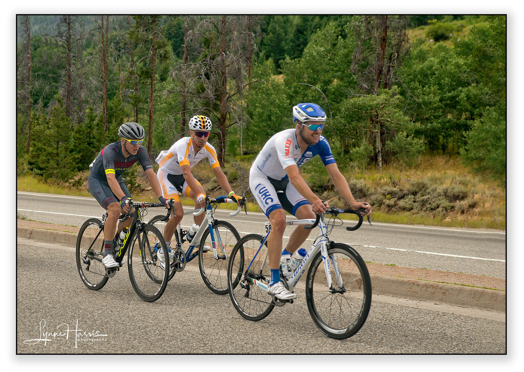 Colorado Cycling by lynne5477