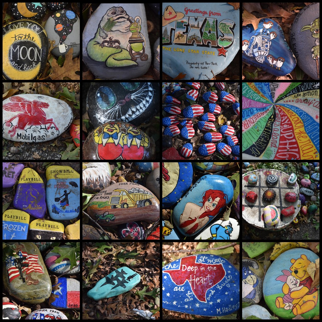 So many different themes on the painted rock trail  by louannwarren
