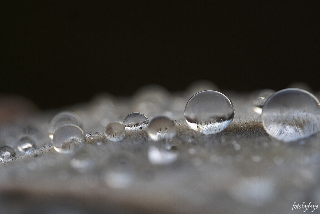 Fuzzy droplets by fayefaye