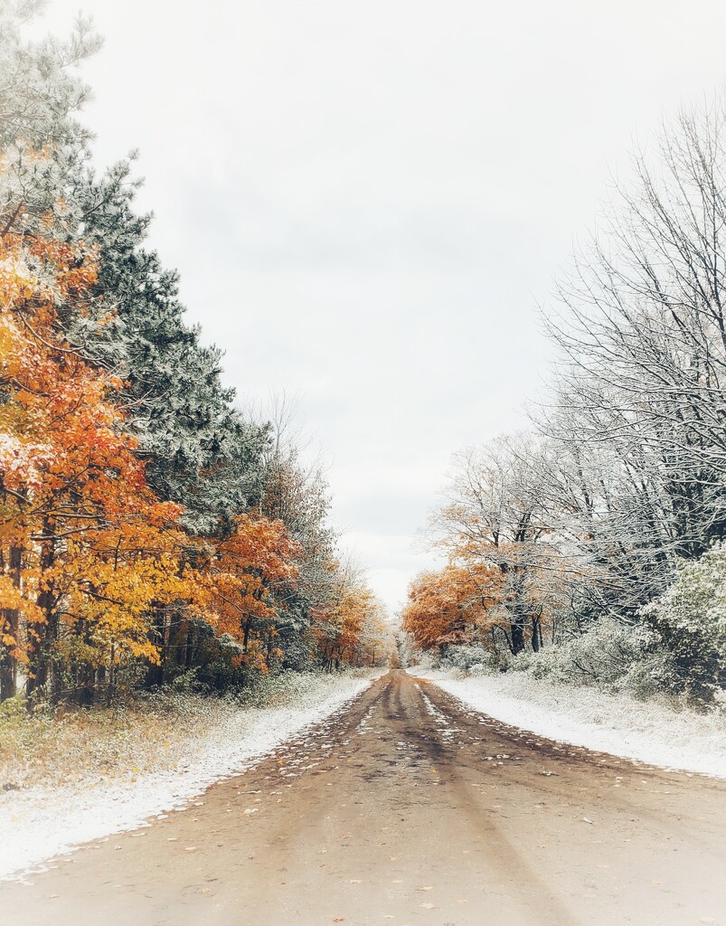 snowy road by edorreandresen