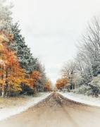 4th Nov 2021 - snowy road