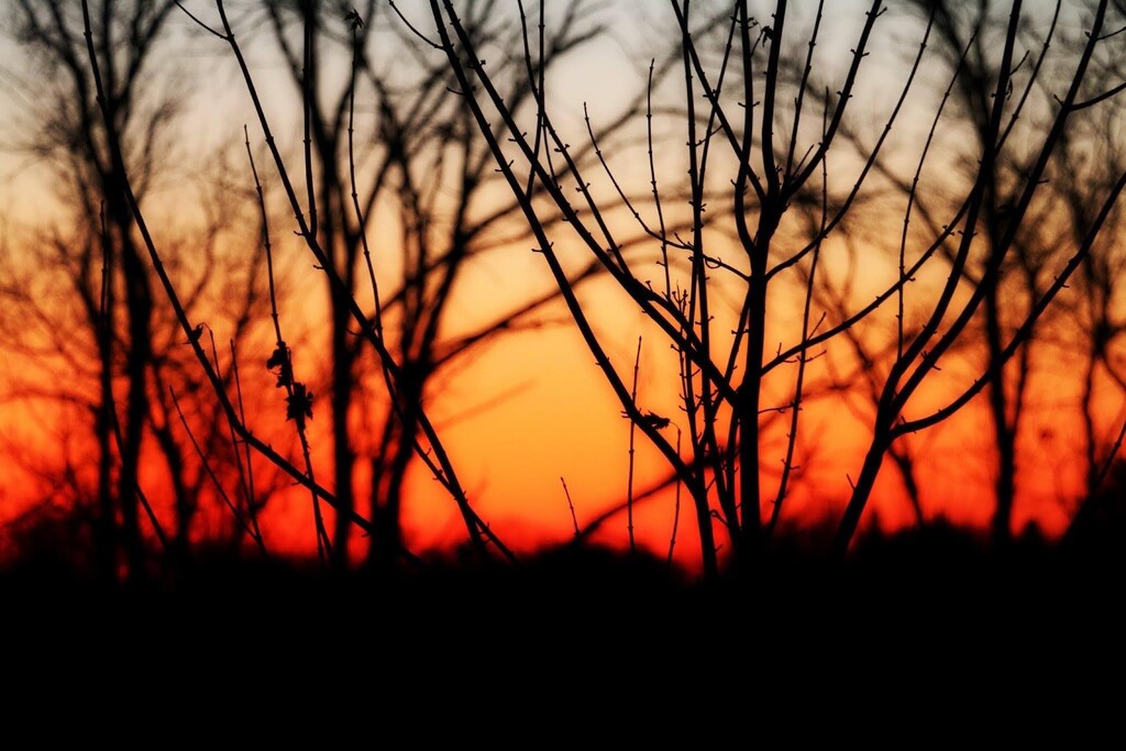 Sunset Fire by 38dcmoder