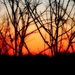 Sunset Fire by 38dcmoder
