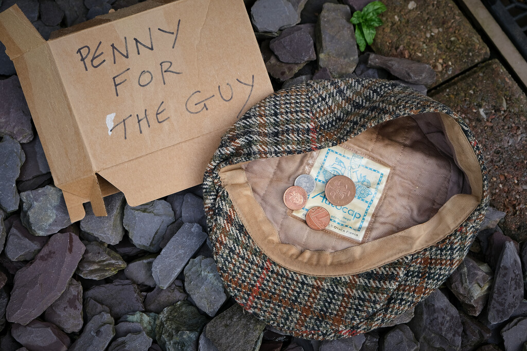 Penny for the Guy by kametty