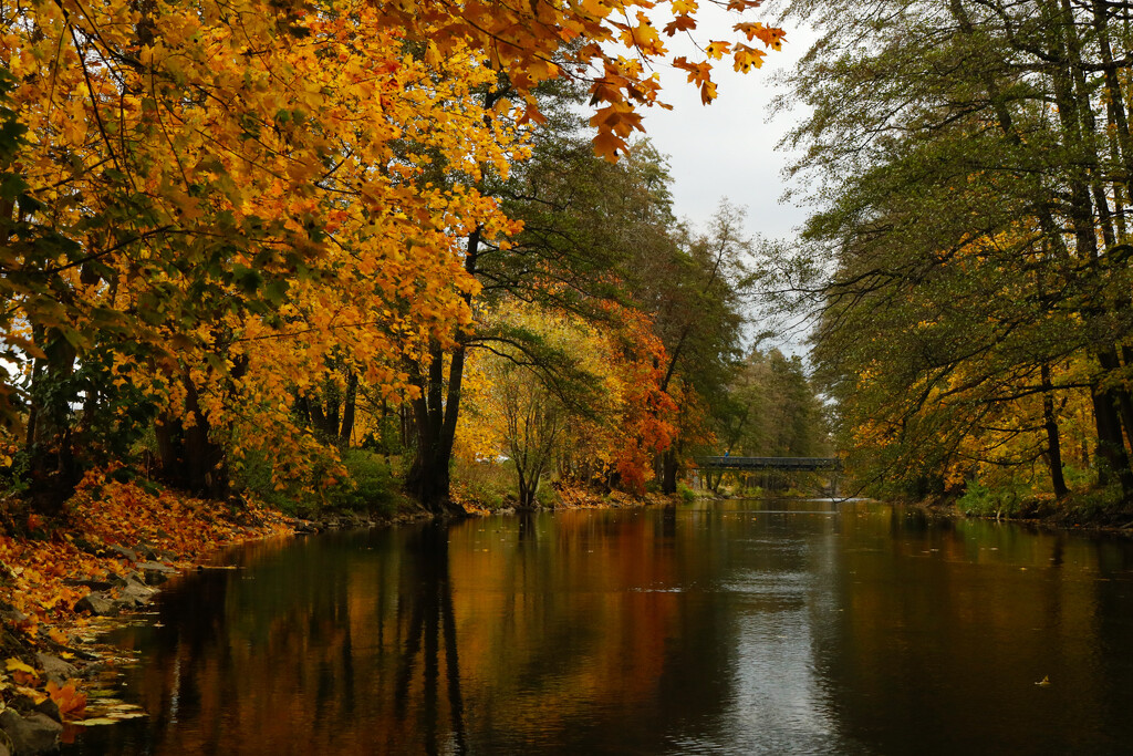 Podzimní řeka by petrv0