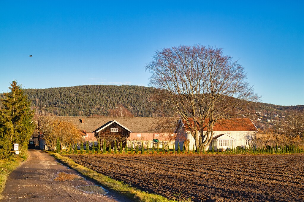 Farm by okvalle