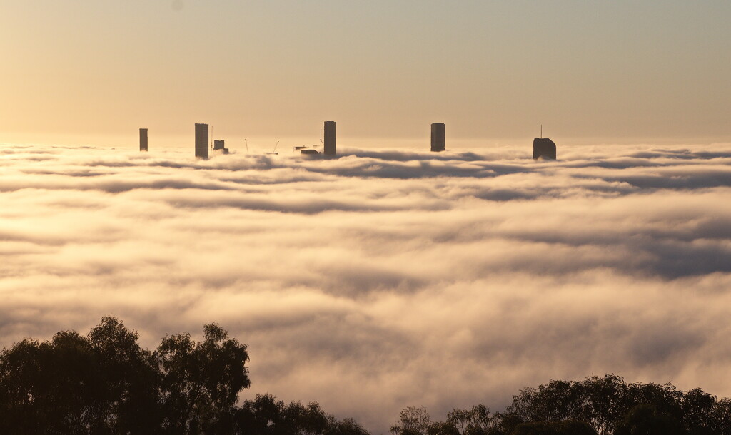 Foggy Brisbane Morning 2 by terryliv