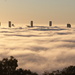 Foggy Brisbane Morning 2 by terryliv