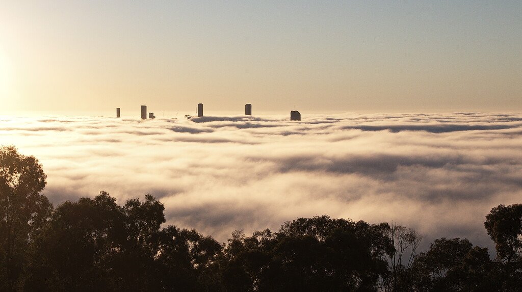Foggy Brisbane Morning 1 by terryliv