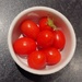 Tomatoes from my Terrace by moirab