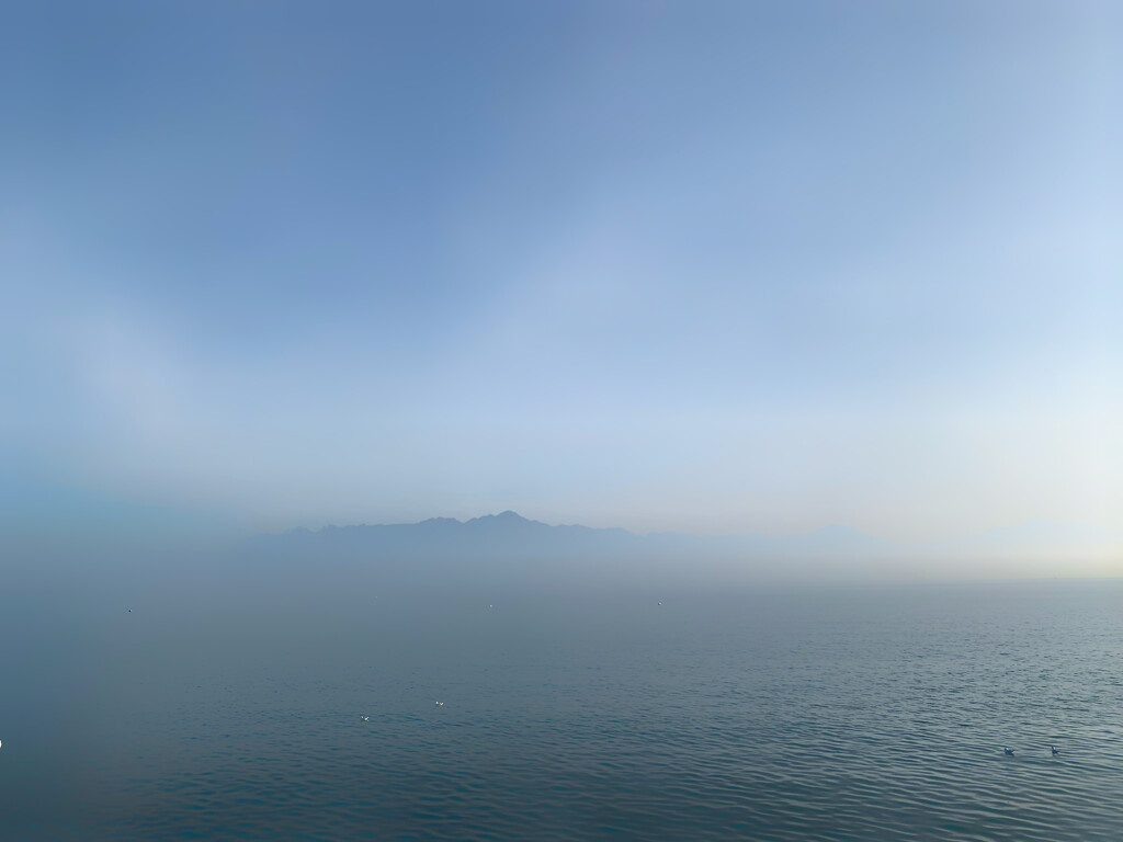 Mist.  by cocobella