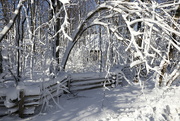 2nd Dec 2020 - Winter wonderland