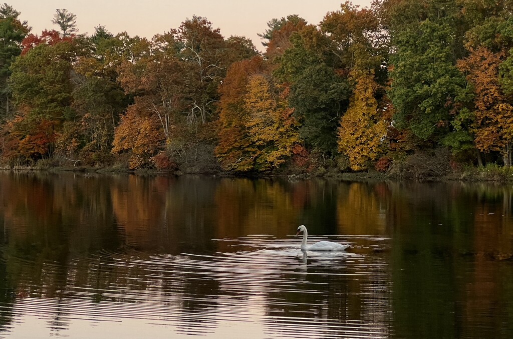 Fall reflections at Forge Pond by berelaxed