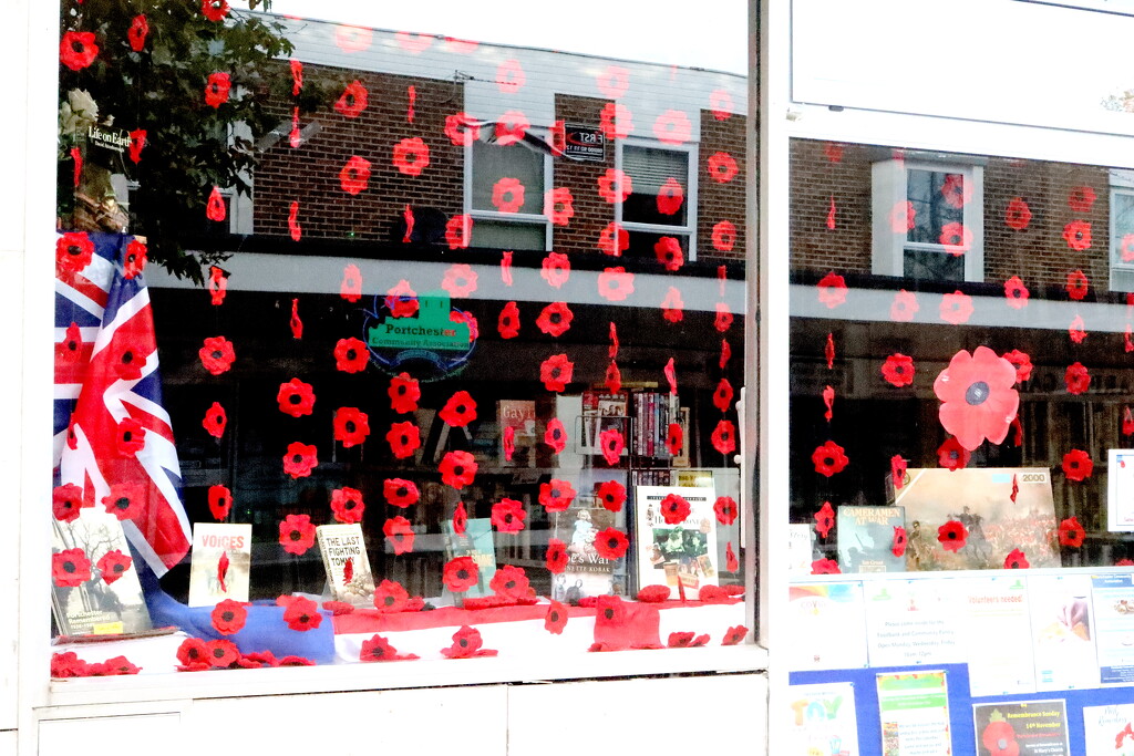 Poppy Window by davemockford