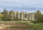 6th Nov 2021 - Cowdray manor ruins