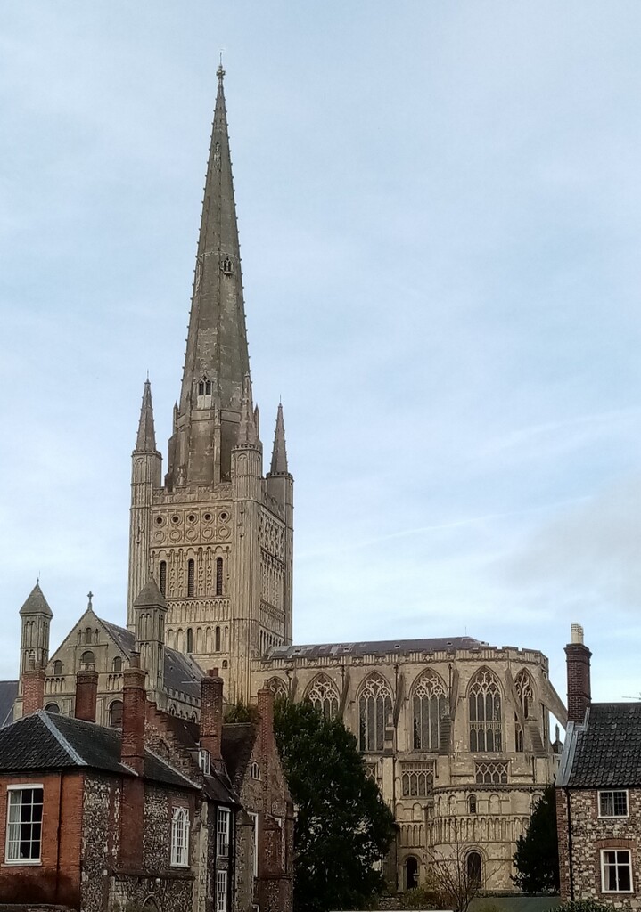 Norwich Cathedral  by g3xbm