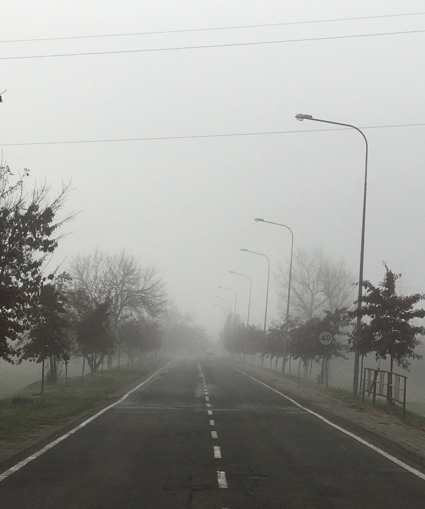 Туманное утро в дороге домой by natalytry