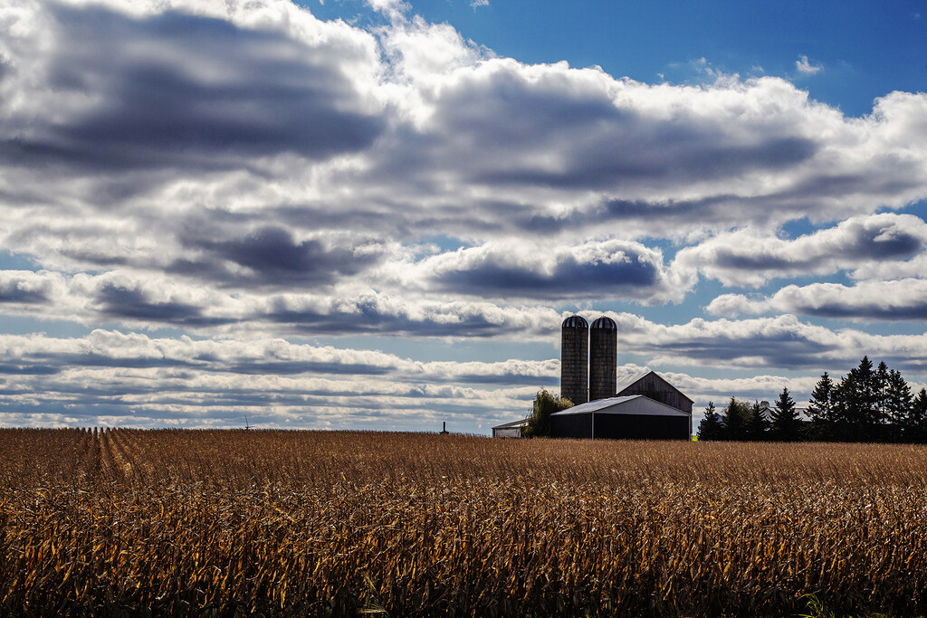 Ontario's Harvest Time by pdulis